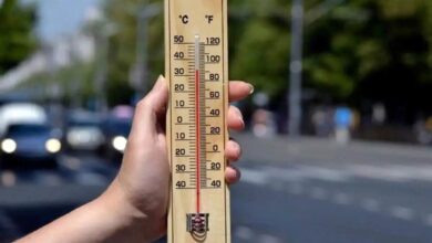 هواشناسی تهران، افزایش دما تهران، پیش‌بینی آب و هوای تهران، موج گرما تهران، ۴۴ درجه سانتی‌گراد، گرمای شدید تهران، حمیدرضا خورشیدی، هشدار هواشناسی، توده هوای گرم، اداره کل هواشناسی استان تهران